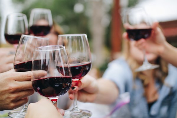 Red wine gut bacteria study