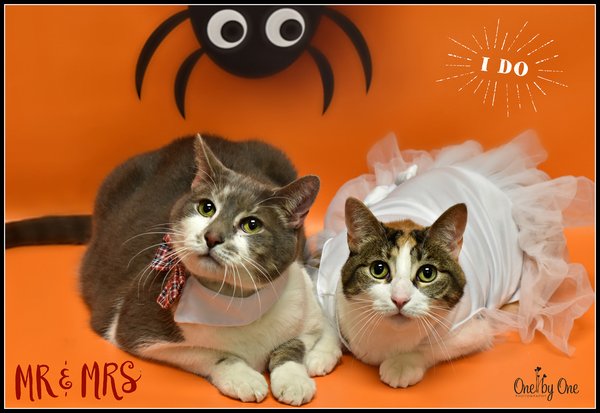 Tink and Zoey
