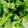 romaine-lettuce-recall-pexels