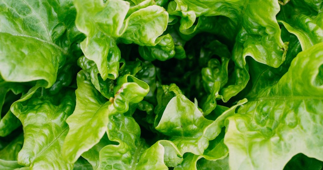 The CDC issues a E.coli outbreak warning for romaine lettuce (again