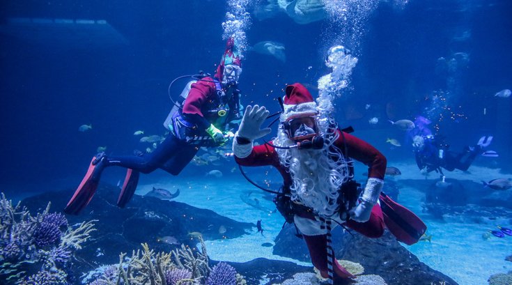 Scuba Santa underwater