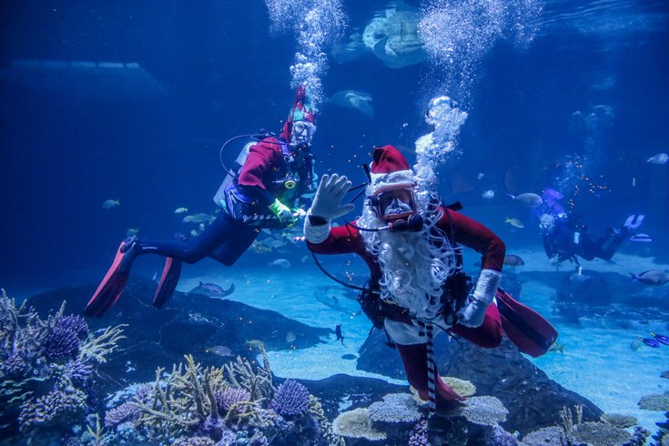 Scuba Santa underwater