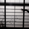 Kaidan: Tales of Moonlight and Rain
