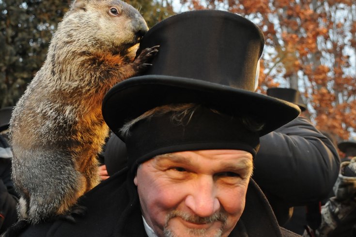 Groundhog top hat