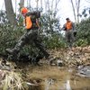 Hunting Sundays