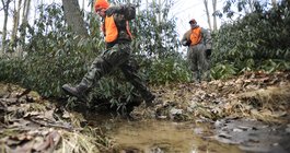 Hunting Sundays