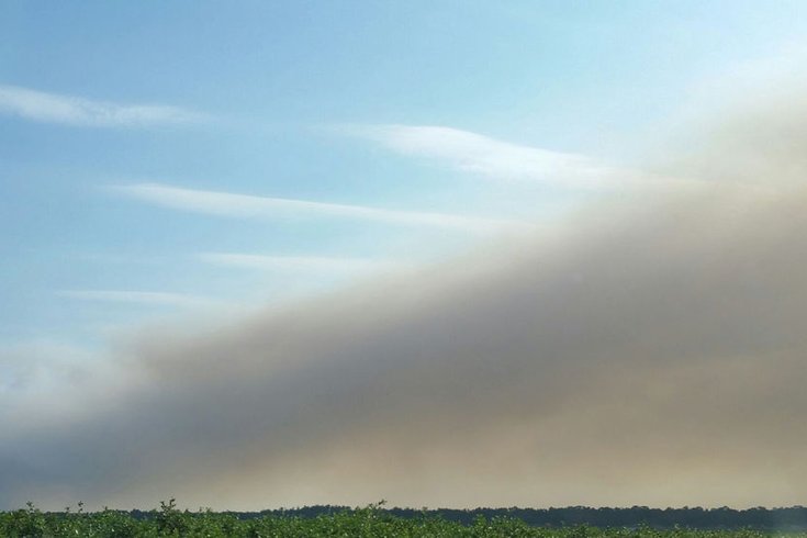 Wharton State Forest smoke