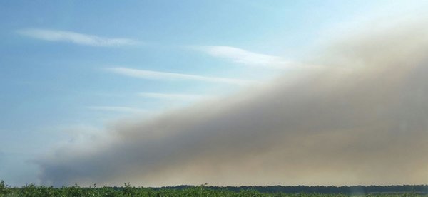 Wharton State Forest smoke