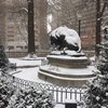 Rittenhouse Square Snow