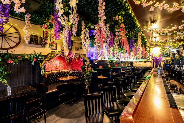 Spring Popup Bar