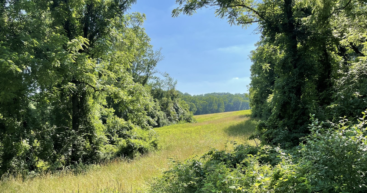 Pennsylvania state parks see surge in visitors as federal campgrounds face cuts