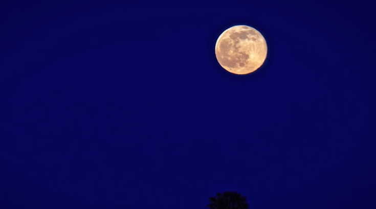 Strawberry Moon June 2019 father's day