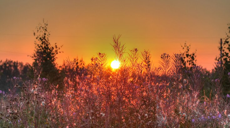 sun-cycle-diet-flickr