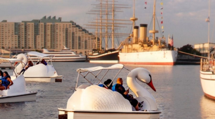 Swan Boats Delaware River