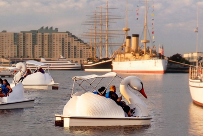 Swan Boats Delaware River