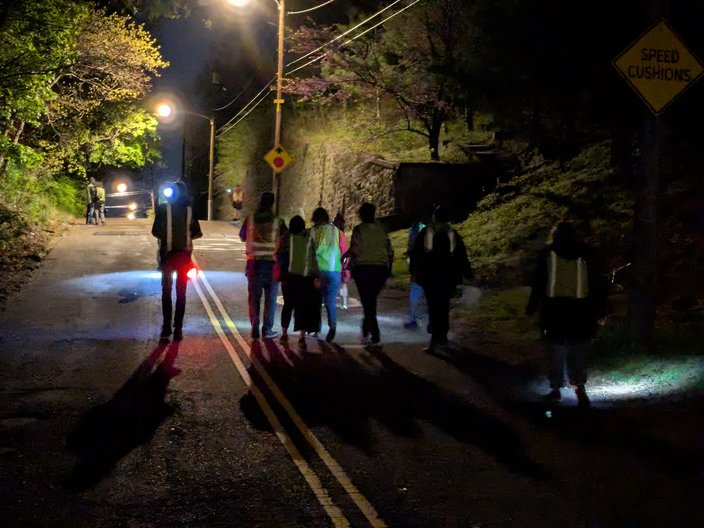 toad crossing volunteers