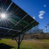 clean energy trump