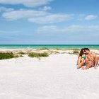 Limited - St Petersburg Florida