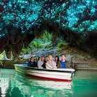 Limited - New Zealand