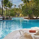 Limited - Punta Cana