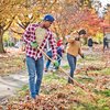 Love Your Park Fall Service Day