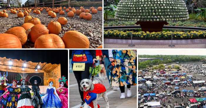 43 things to do in Philly this weekend, Oct. 23-25