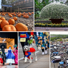 weekend-roundup-collage-oct-23