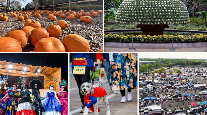 weekend-roundup-collage-oct-23