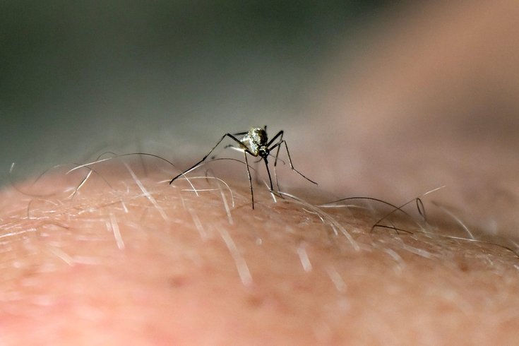 west nile virus 2026 mosquito