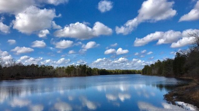wharton state park opening