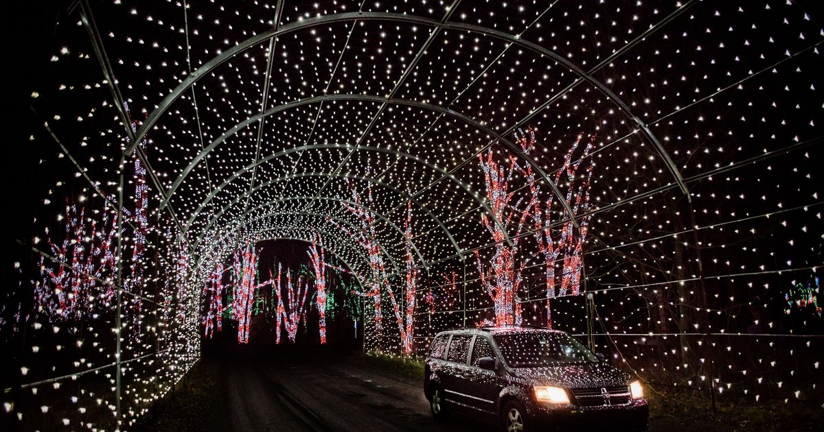 Four million lights brighten Shady Brook Farm for the holidays