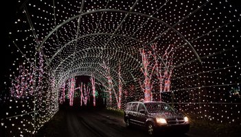 Shady Brook Farm - white light tunnel