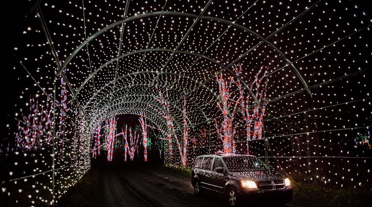 Shady Brook Farm - white light tunnel