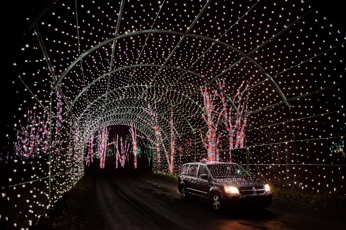 Shady Brook Farm - white light tunnel