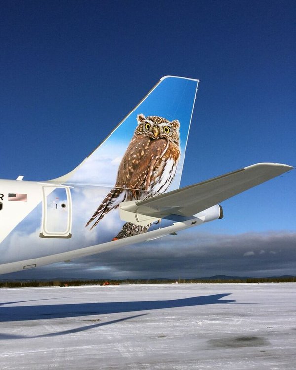 Frontier Airlines