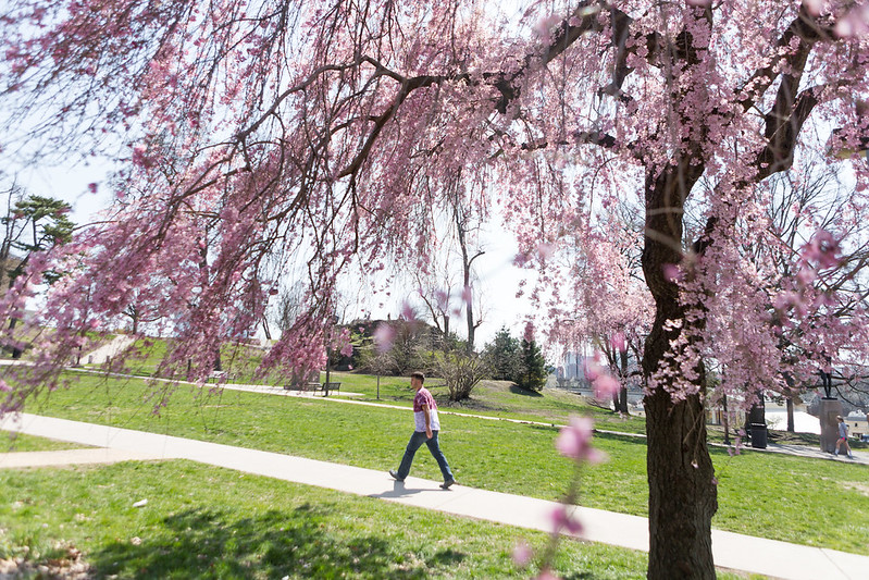Join the fight against pancreatic cancer at PurpleStride walk in Fairmount Park