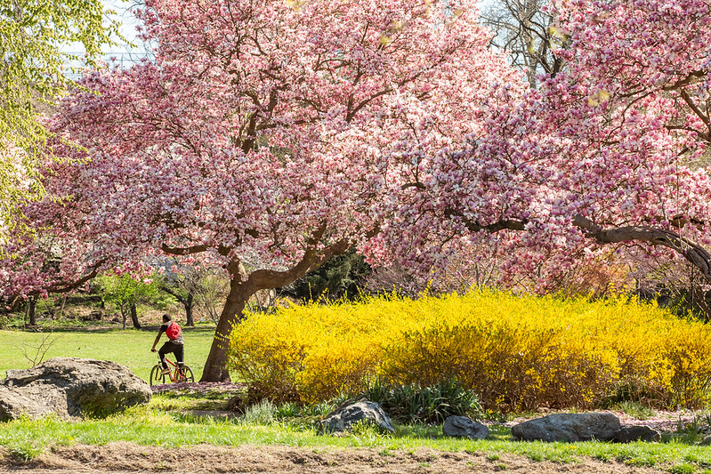 Thousands of volunteers will clean up Philly neighborhoods today