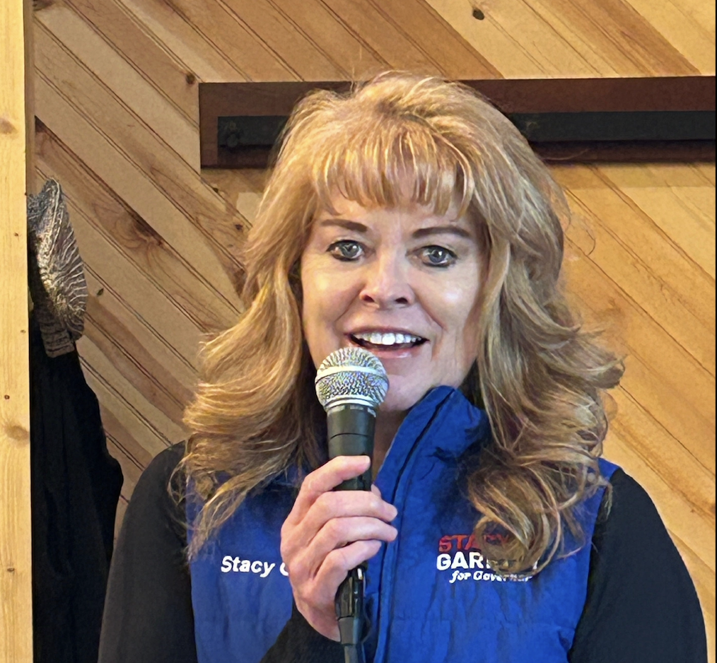Stacy Garrity says she would veto recreational marijuana bill as Pa. governor