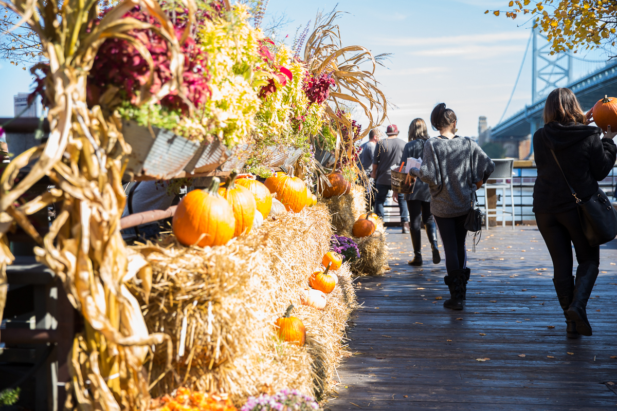 Morgan’s Pier has turned into a six-week fall festival with pumpkins, Yappy Hours and a Halloween bash