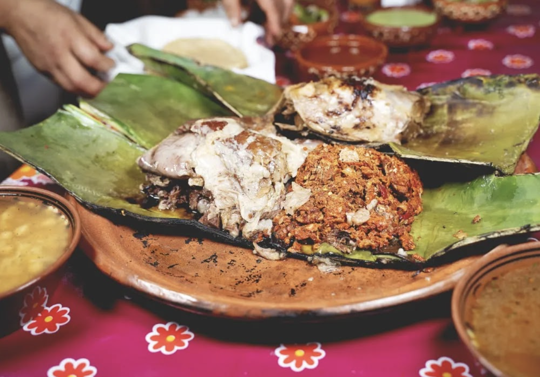 Live music, film and dinner at Bartram’s Garden highlight immigrant stories