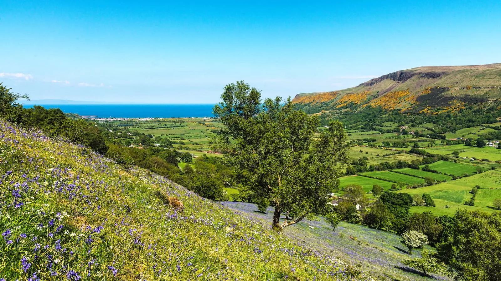 Philadelphia’s deep Irish roots make Ireland a meaningful trip for America’s 250th