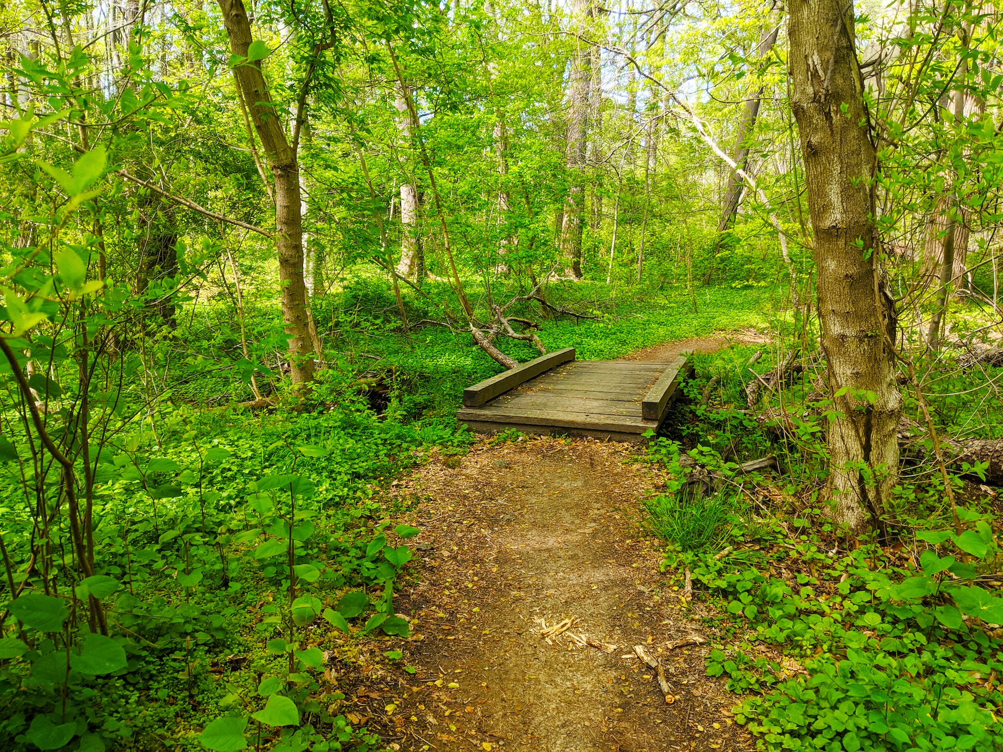 Runs, bird walks and paddle boating planned for Earth Month in Philly parks