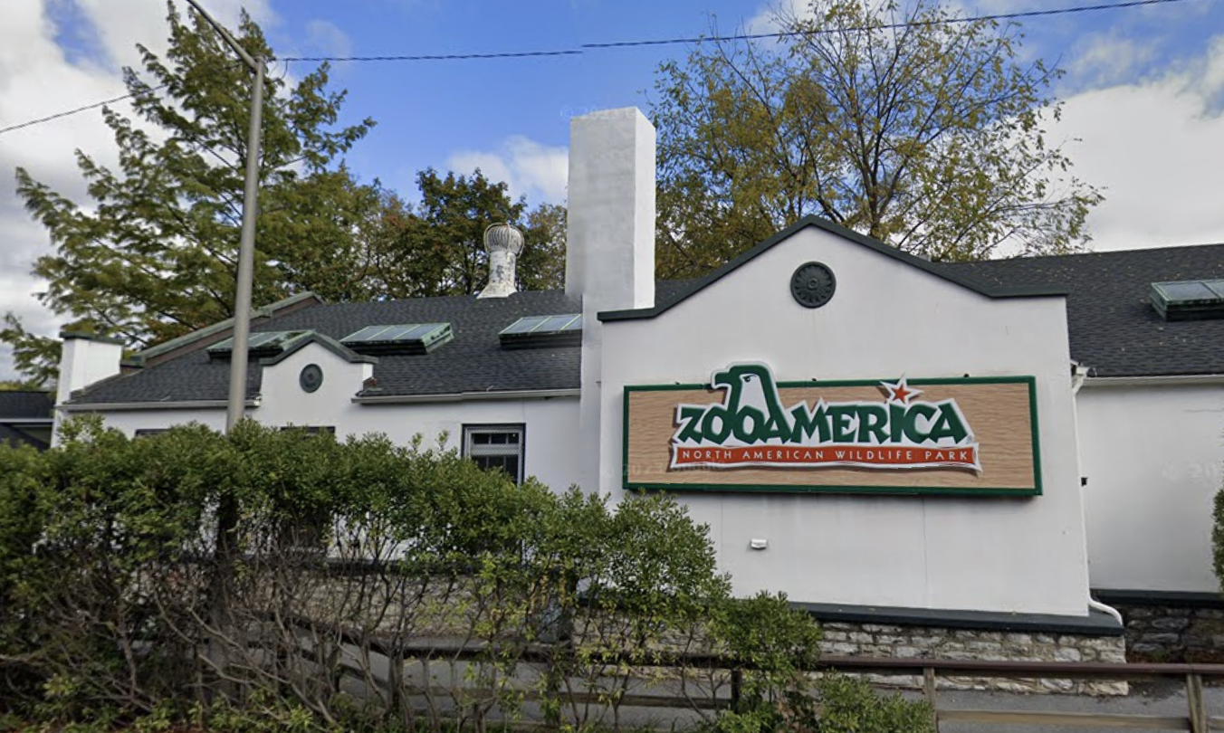 Parents face charges after child is injured by wolf at Hersheypark’s ZooAmerica