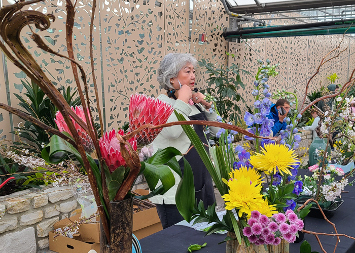 Cherry Blossom Festival returns in late March as peak bloom nears