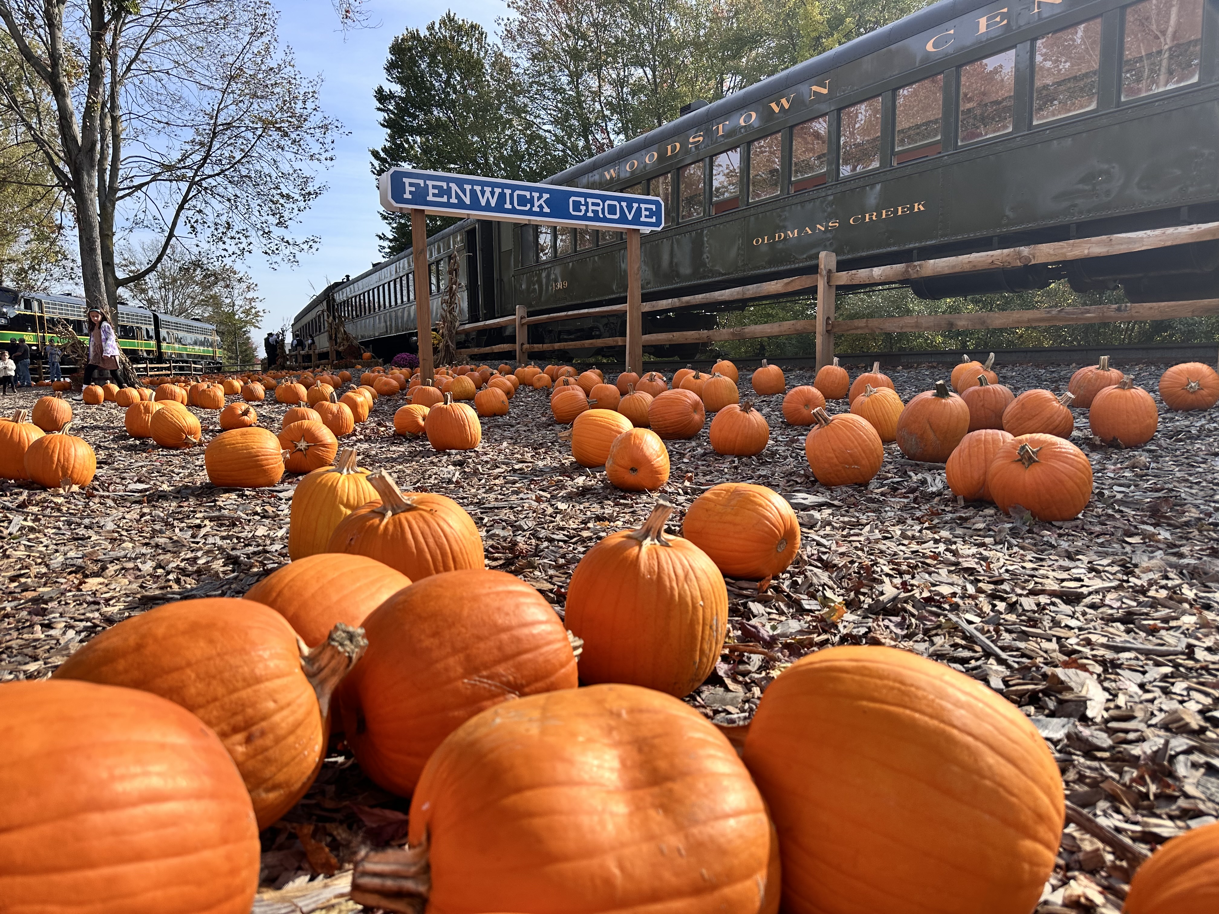 Ride a train to a pumpkin patch and explore a South Jersey grove this October