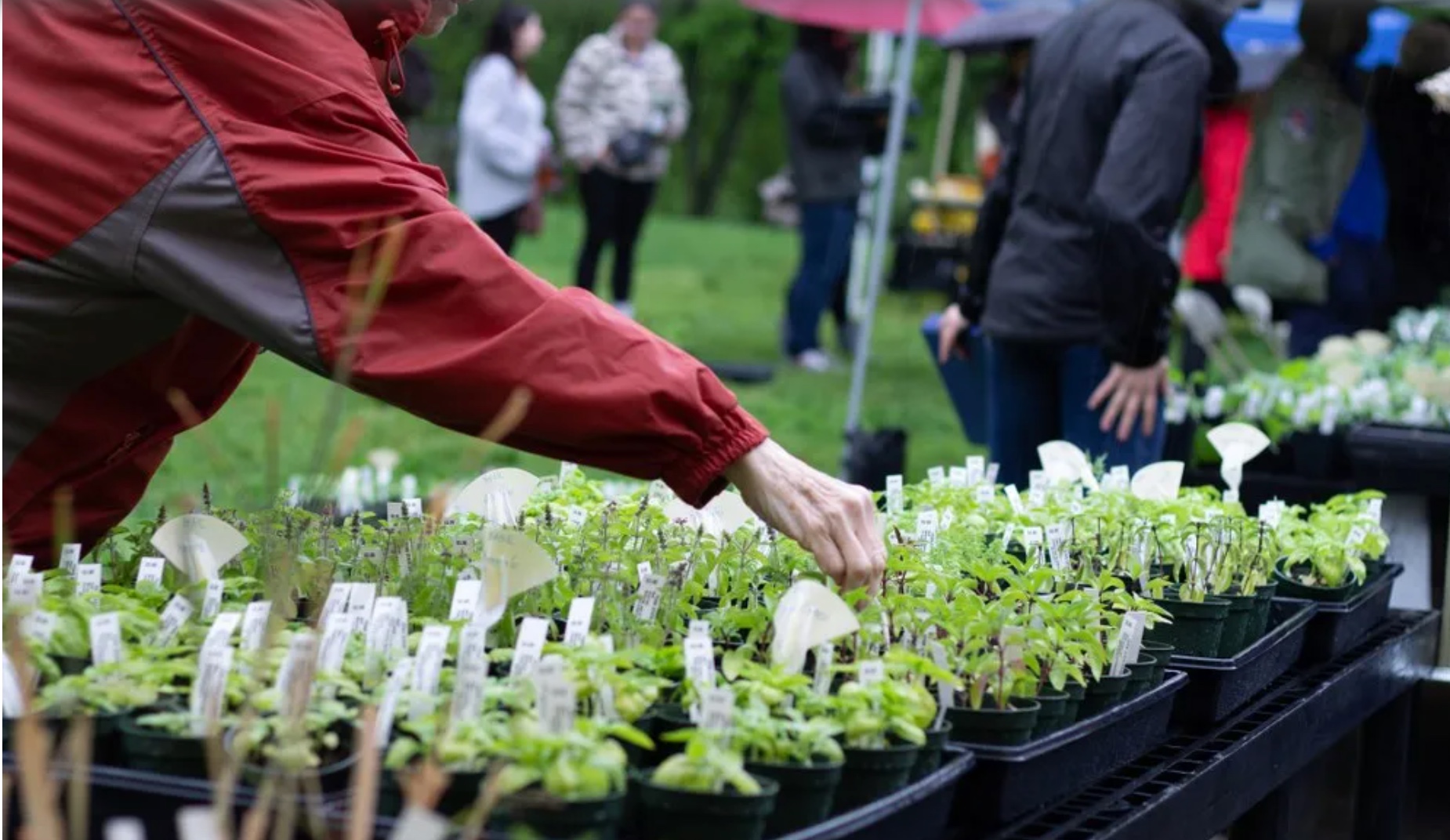 Philly plant lovers can stock up at this free Fairmount Park event in April